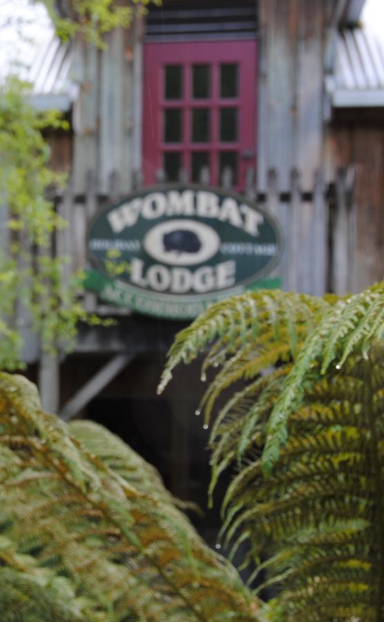 The Wombat Cottage Tullah Exteriér fotografie